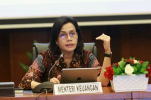 Sri Mulyani, Menteri Keuangan