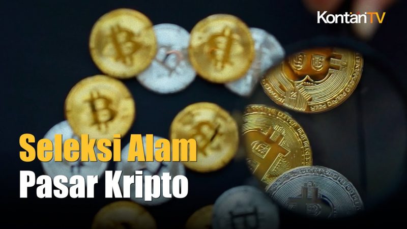 Ilustrasi Pasar Kripto